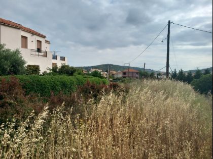 ΑΡΧΑΝΕΣ ΑΝΩ 