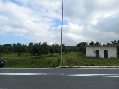 ΕΛΙΑ