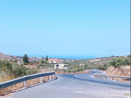 ΕΛΙΑ
