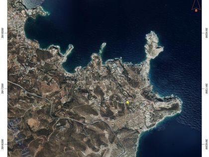 ΛΥΓΑΡΙΑ