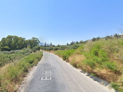 ΦΟΙΝΙΚΙΑ