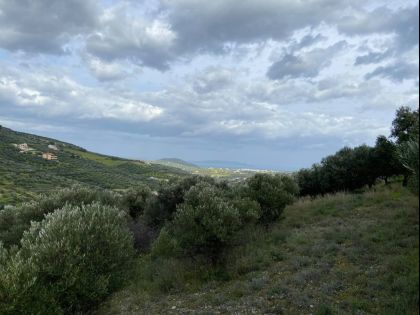 ΑΡΧΑΝΕΣ ΚΑΤΩ 
