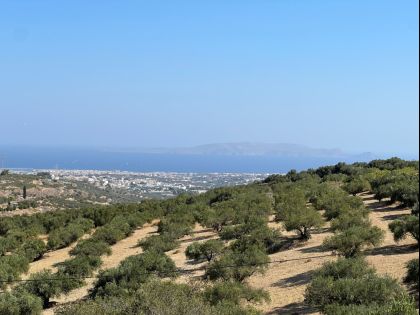 αγγελία