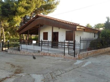 ΑΤΤΙΚΗ