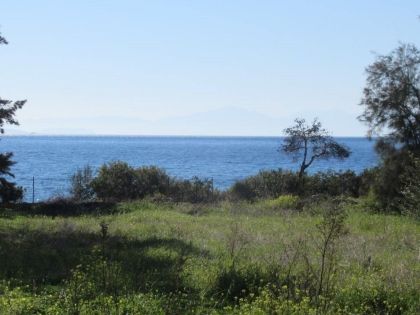 ΑΤΤΙΚΗ