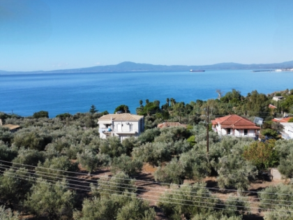 ΜΕΣΣΗΝΙΑ