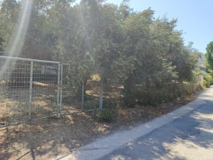 ΑΓΙΟΣ ΙΩΑΝΝΗΣ ΚΝΩΣΟΥ