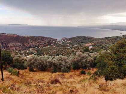 ΡΟΔΙΑ