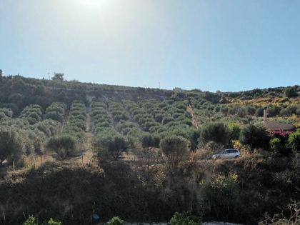 ΓΟΥΡΝΕΣ ΤΕΜΕΝΟΥΣ 