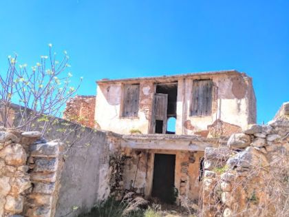 ΕΥΑΓΓΕΛΙΣΜΟΣ ΠΕΔΙΑΔΟΣ