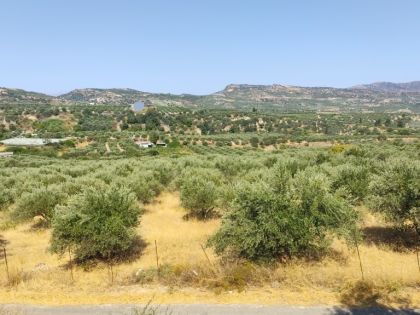 ΜΕΛΕΣΕΣ