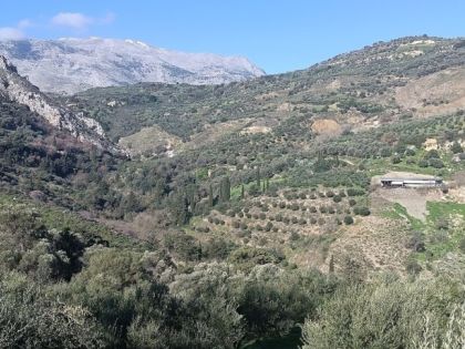ΒΕΝΕΡΑΤΟ