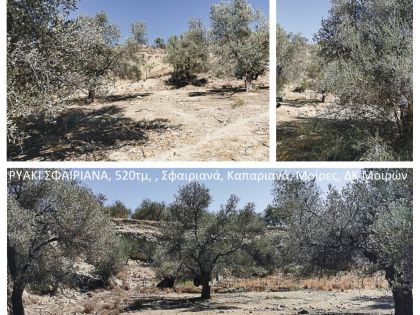 ΚΑΠΠΑΡΙΑΝΑ: