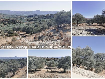 ΑΓΙΟΣ ΑΝΤΩΝΙΟΣ