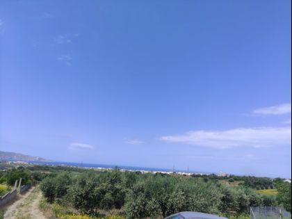 αγγελία
