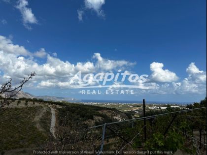 αγγελία
