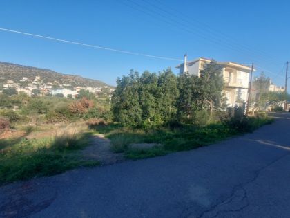 ΣΤΑΛΙΔΑ
