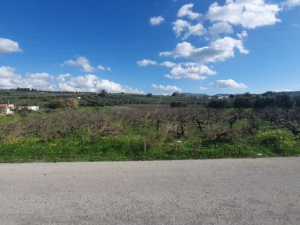 ΒΕΝΕΡΑΤΟ