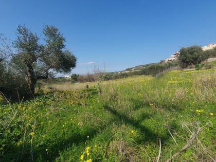 ΣΤΑΜΝΟΙ