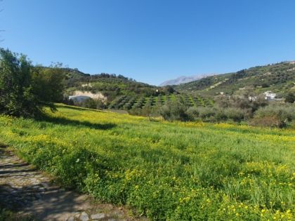 ΣΤΑΥΡΑΚΙΑΝΗ ΚΑΜΑΡΑ