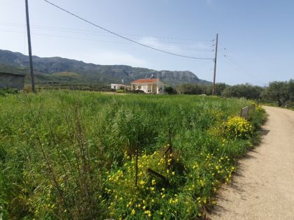 ΔΙΟΝΥΣΙ
