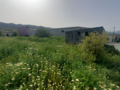 ΚΑΣΑΝΟΣ