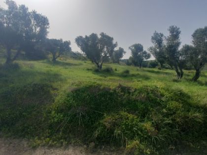 ΚΑΣΑΝΟΣ