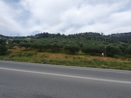 ΣΤΑΥΡΑΚΙΑΝΗ ΚΑΜΑΡΑ