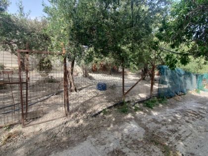 ΣΤΑΥΡΑΚΙΑ