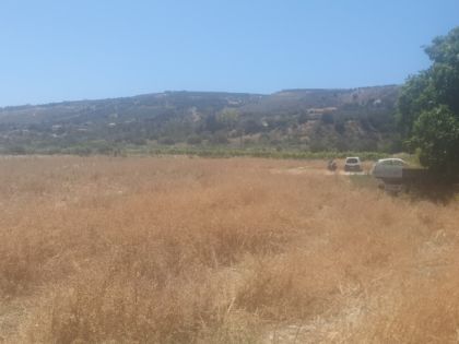 ΦΟΙΝΙΚΙΑ