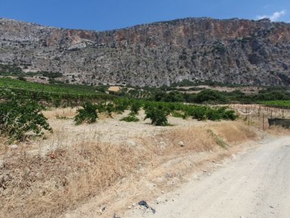 αγγελία