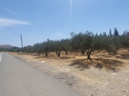ΜΟΙΡΕΣ