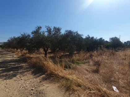 ΧΟΥΣΤΟΥΛΙΑΝΑ