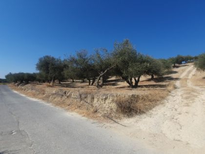 ΣΚΑΛΑΝΙ