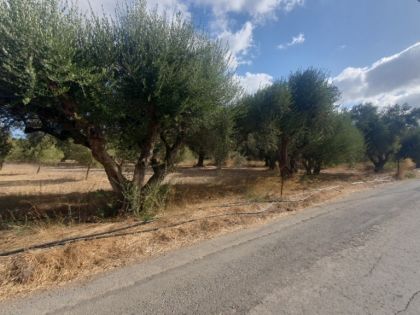 ΚΑΣΤΕΛΛΙ