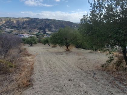 ΣΤΑΥΡΑΚΙΑ