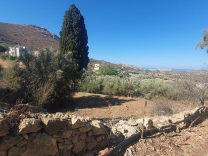 ΛΙΣΤΑΡΟΣ