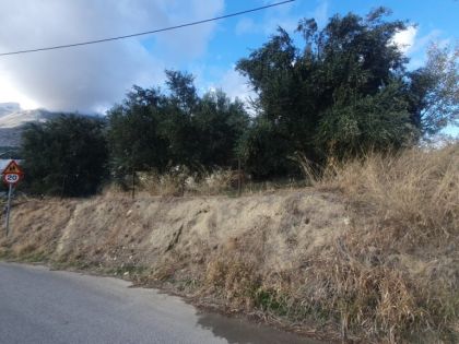 ΑΣΙΤΕΣ ΚΑΤΩ 