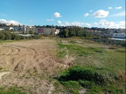 ΑΓΙΟΙ ΘΕΟΔΩΡΟΙ