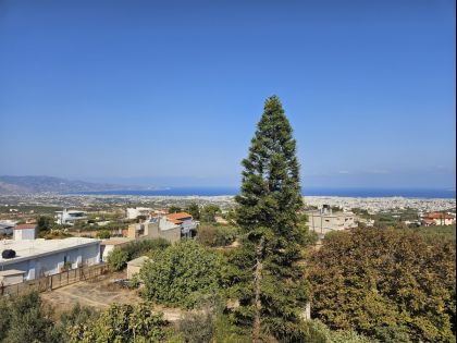 ΜΑΡΑΘΙΤΗΣ