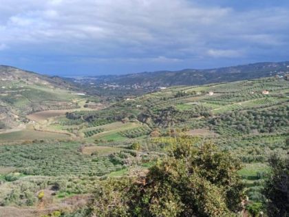 ΤΣΑΓΚΑΡΑΚΗ ΜΕΤΟΧΙ