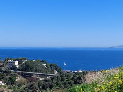 ΡΟΔΙΑ