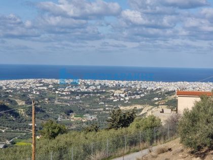 ΜΑΡΑΘΙΤΗΣ