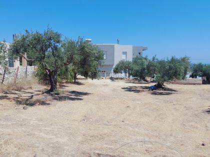 ΓΟΥΒΕΣ ΑΝΩ 