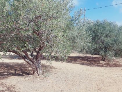 ΑΝΩΠΟΛΗ