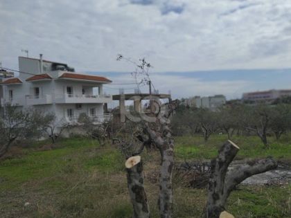 αγγελία