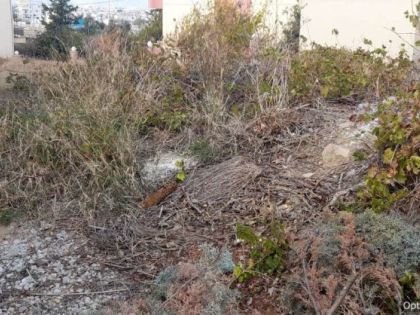 ΑΓΙΟΣ ΙΩΑΝΝΗΣ ΚΝΩΣΟΥ