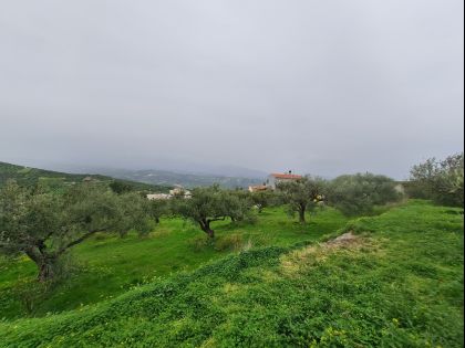 ΒΑΣΙΛΕΙΕΣ