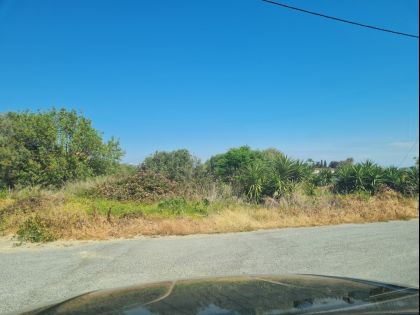 ΑΓΙΟΙ ΘΕΟΔΩΡΟΙ