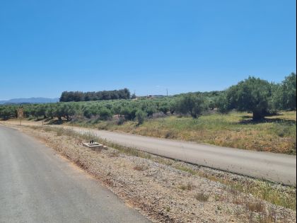 ΚΑΣΤΕΛΛΙ